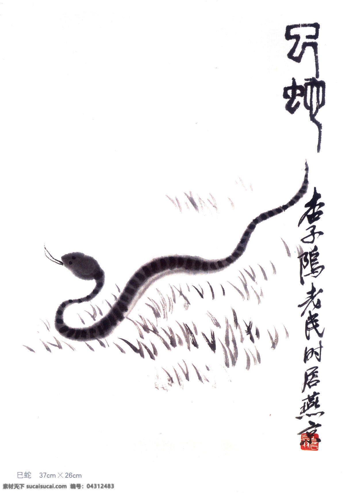 齐白石 十二生肖 巳蛇 国画 蛇 绘画书法 文化艺术