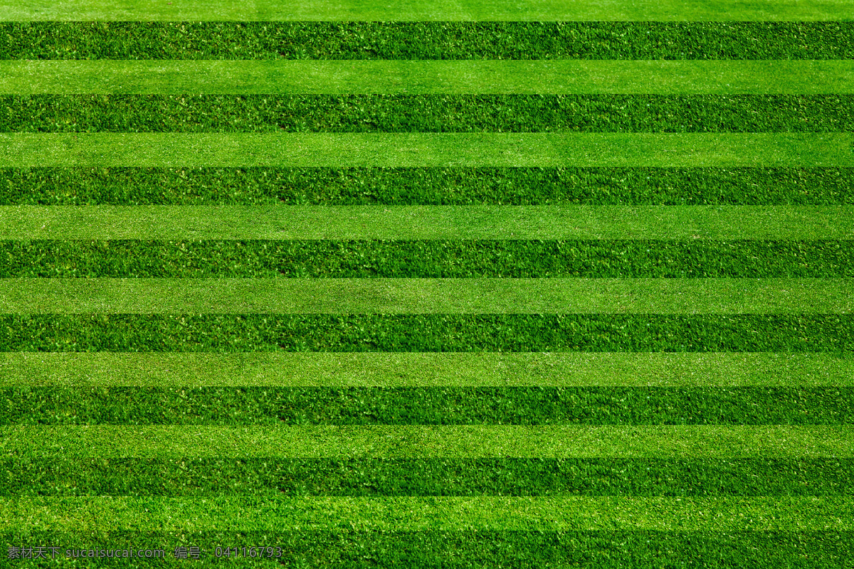 草坪背景 草坪 背景 底纹 足球场 条纹 草地 绿色 条纹线条 底纹边框