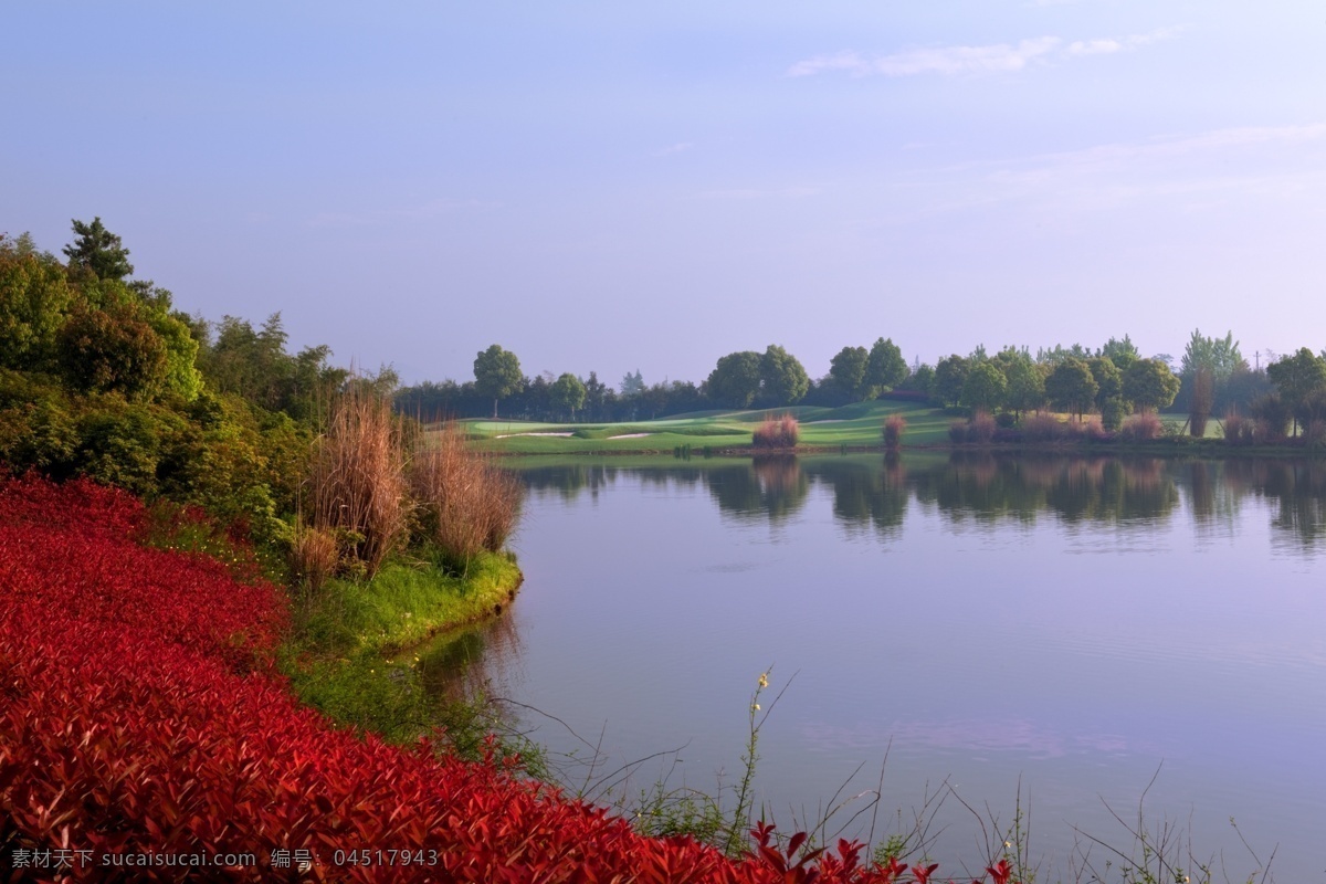 高尔夫球场 风景 球场 高尔夫 绿色 建筑园林 园林建筑 果岭 球道 草地 运动 黑色