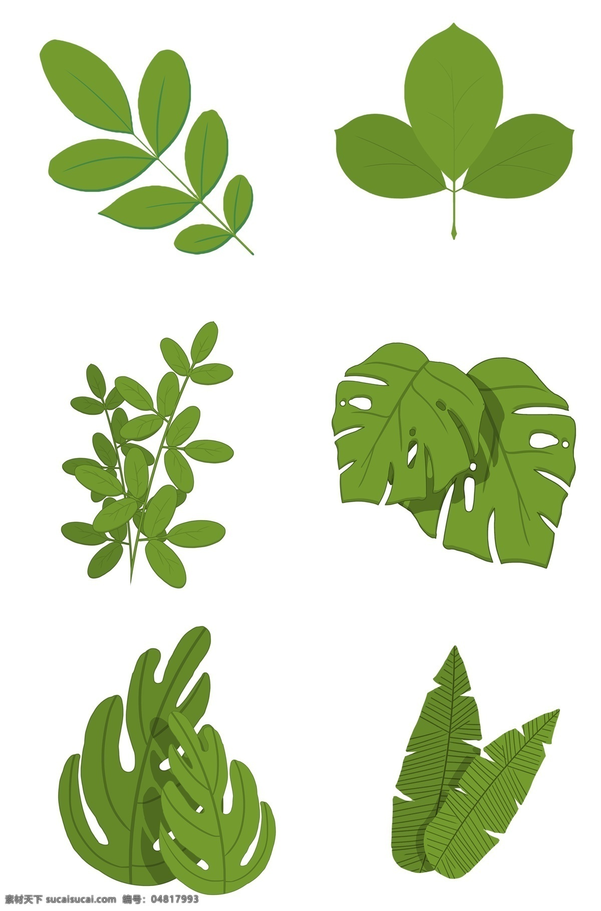 手绘 扁平 绿色 叶子 手绘扁平风格 春天绿色盎然 植物 插画 简约 树叶 树枝 装饰 绿色植物 png格式 卡通