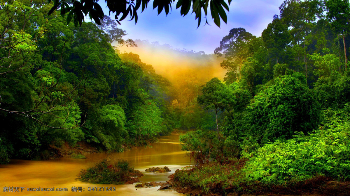 森林 壁纸 桌面 原始森林 热带雨林 丛林 绿树 河流 梦幻 神秘 秘境 仙境 风景 景观 美景 风光 美丽自然 自然风景 自然景观