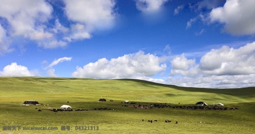 草原 蓝天 白云 天空 云海 蓝色 白色 草 山 旅游摄影 国内旅游