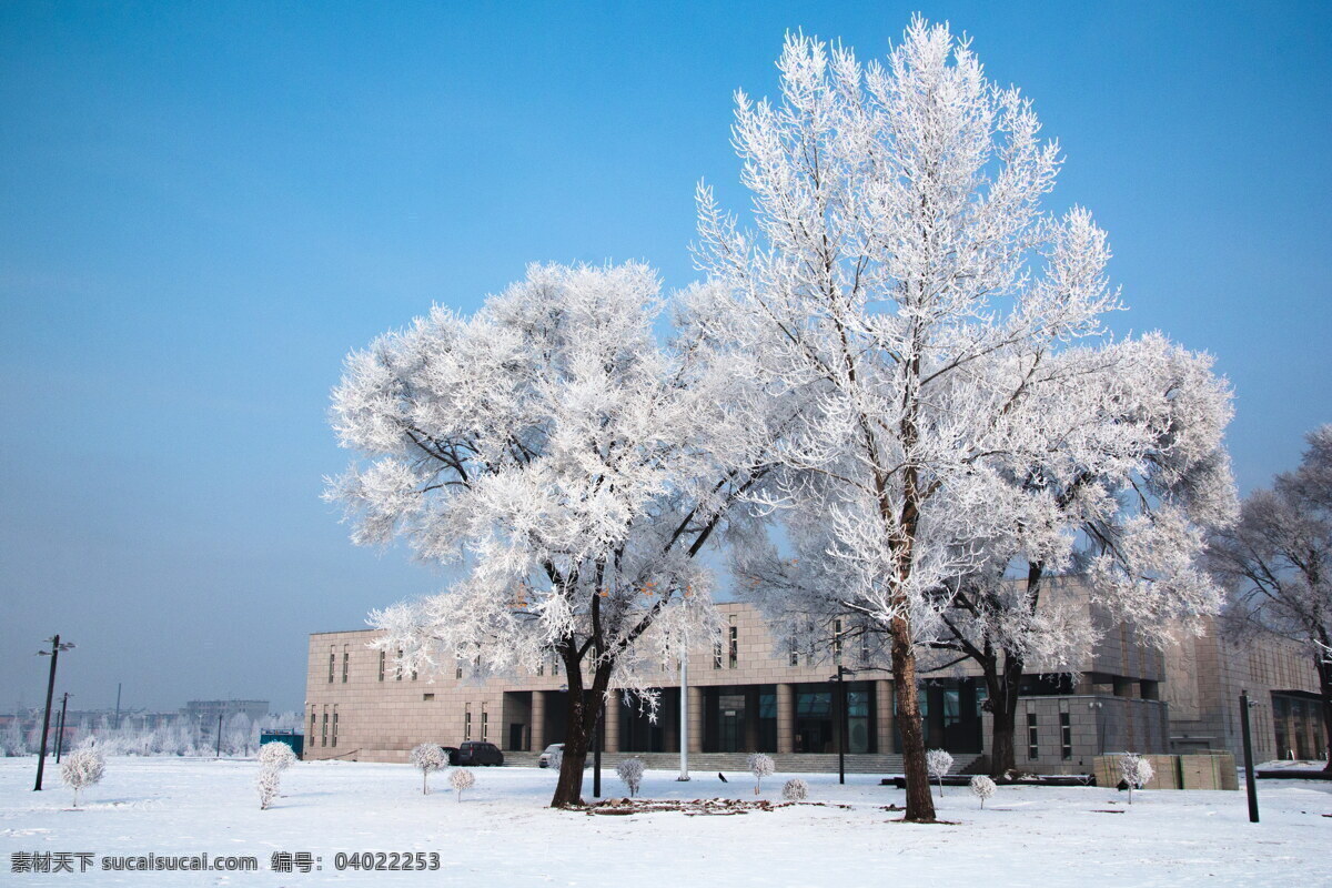 东北雪景 东北 雪景 树挂 雾凇 白雪 冬天 自然景观 自然风景