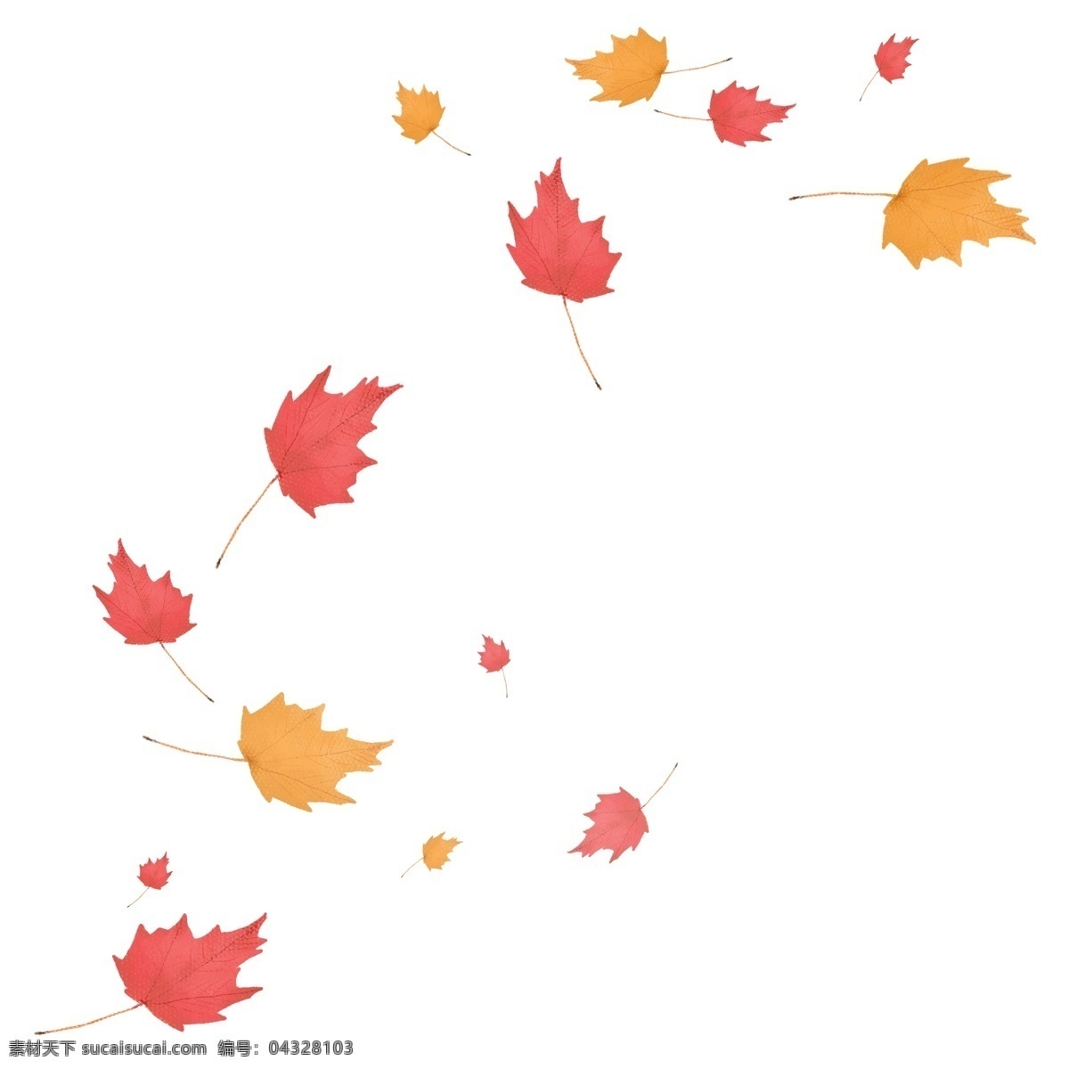 风吹 散 落叶 漂浮 枫叶 吹风效果 风 飘落 飘散 飘洒 散落 叶子 banner 海报 秋季 秋天 方向 动感