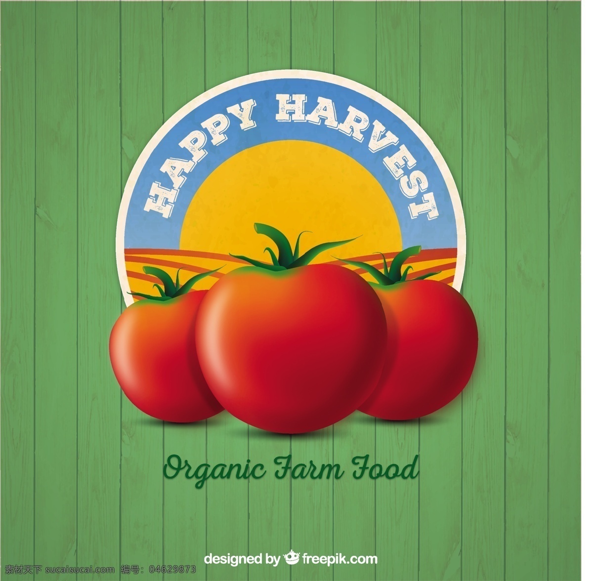 有机食品标志 食品 徽章 性质 农场 蔬菜 生态 有机 自然 健康 环境 番茄 产品 开发 健康食品 新鲜 生态友好 农业 有机食品 收获 绿色