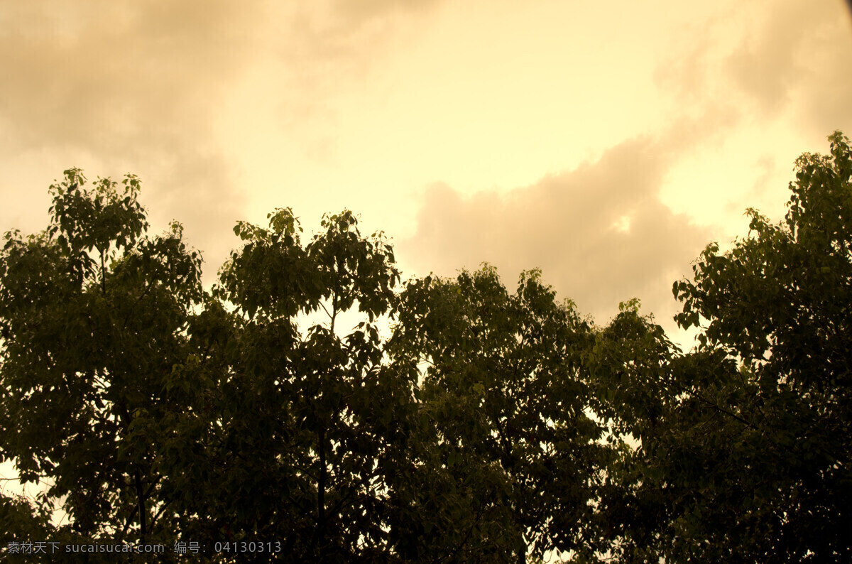 黄昏 白云 斑驳 风景 剪影 结束 生物世界 树影 天空 云彩 看天 自然 树木树叶 psd源文件