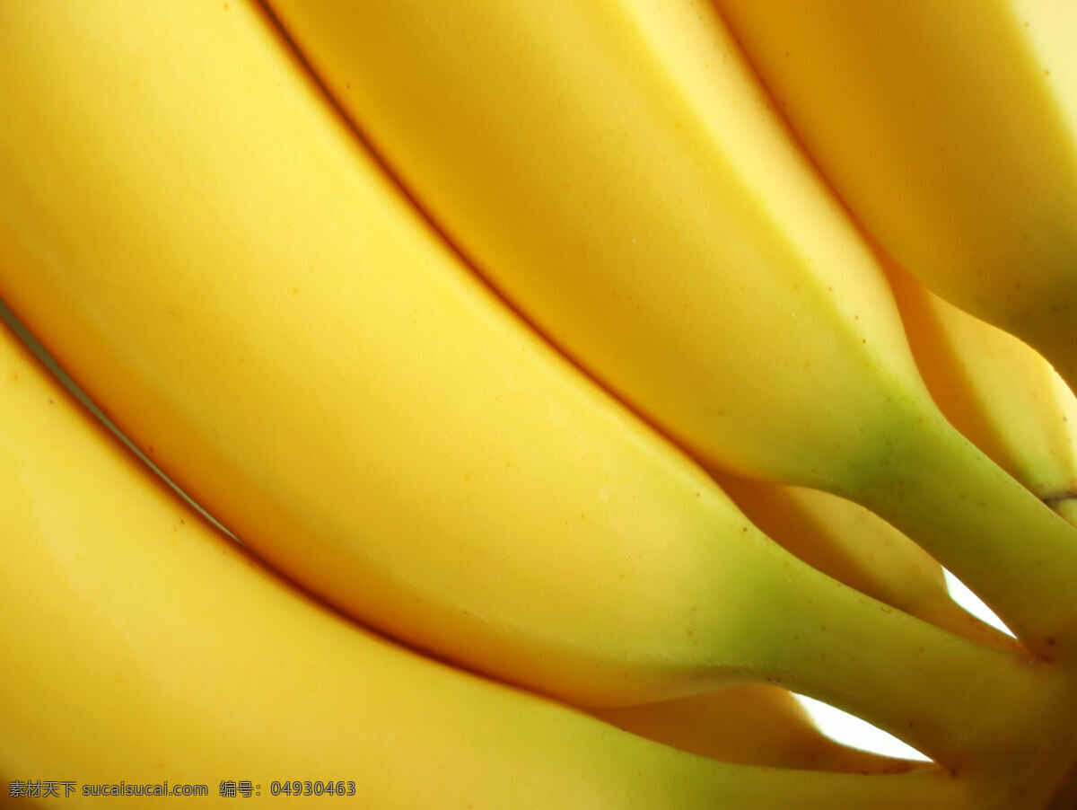 香蕉 水果香蕉 水果 香蕉皮 成把 黄香蕉 绿香蕉 生物世界