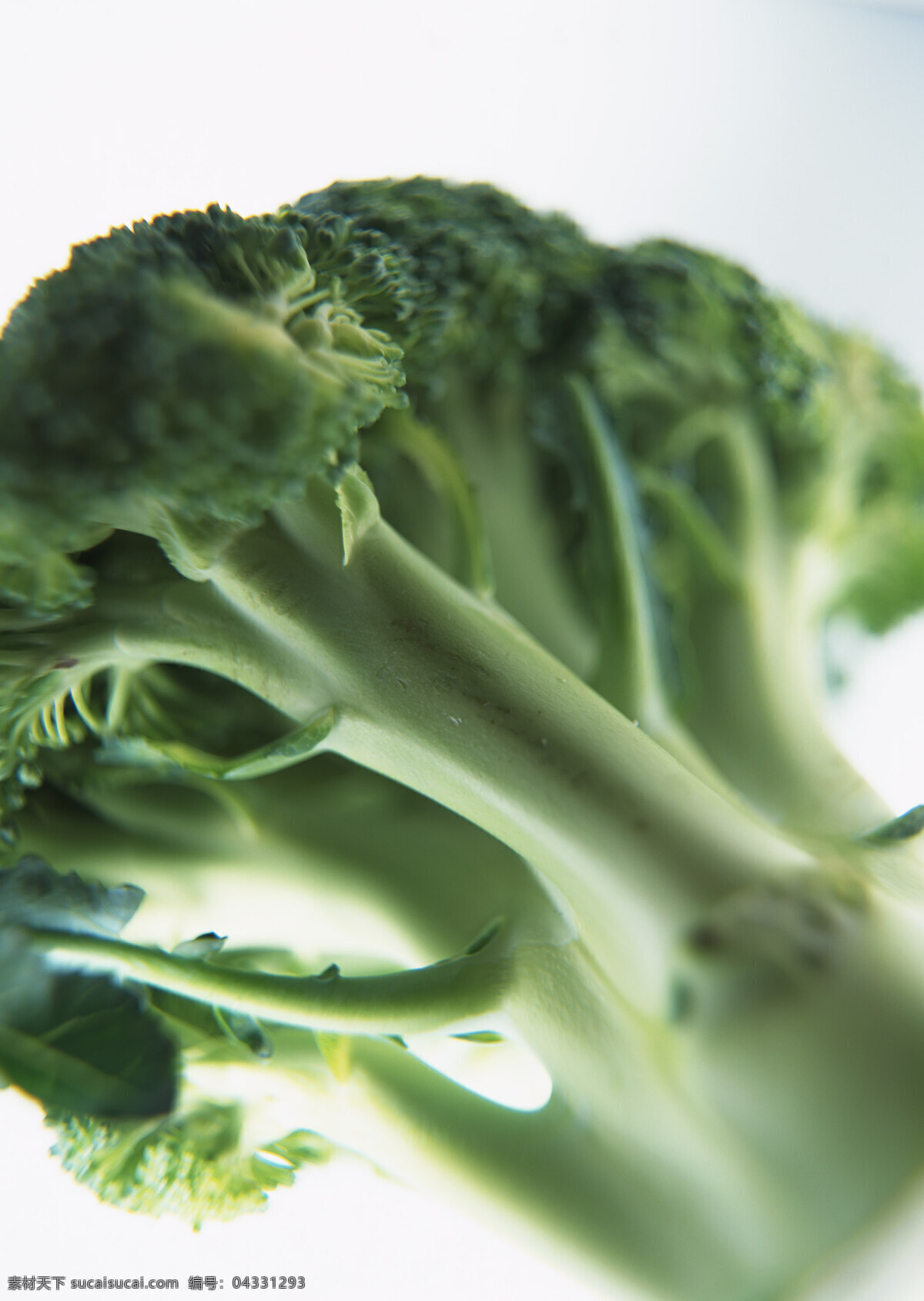 西兰花 新鲜蔬菜 花菜 农作物 绿色食品 摄影图 高清图片 蔬菜图片 餐饮美食