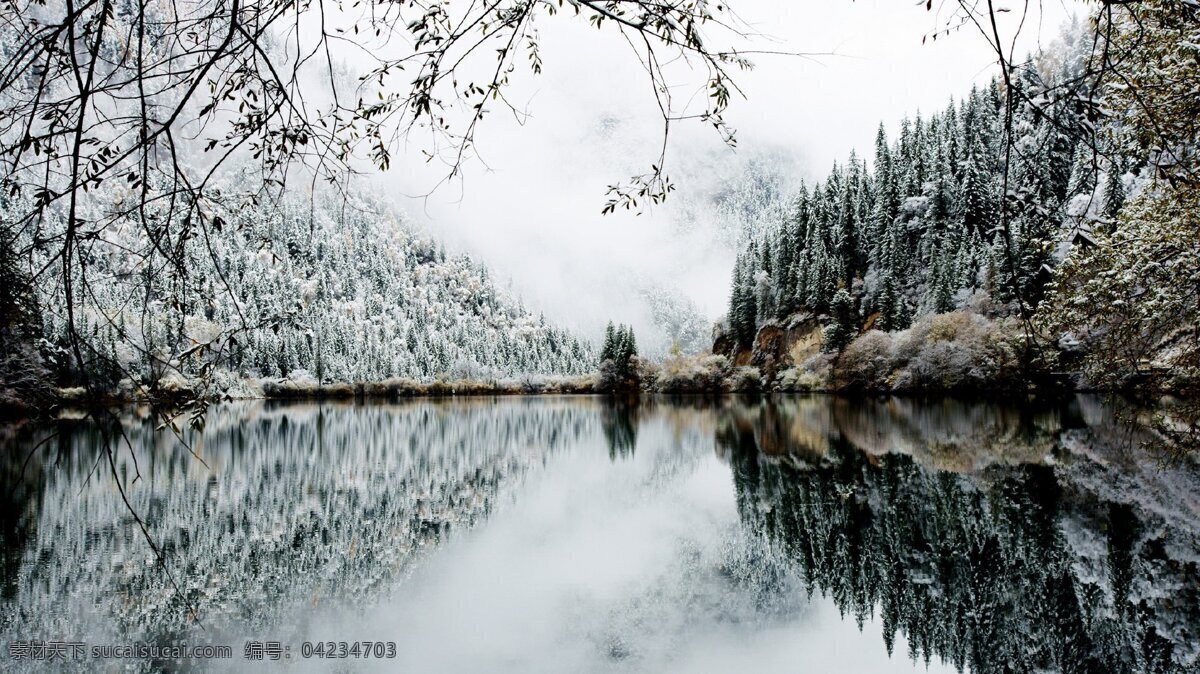 唯美 风景 高清 壁纸 纯洁 雪景 自然 雪白 背景图片