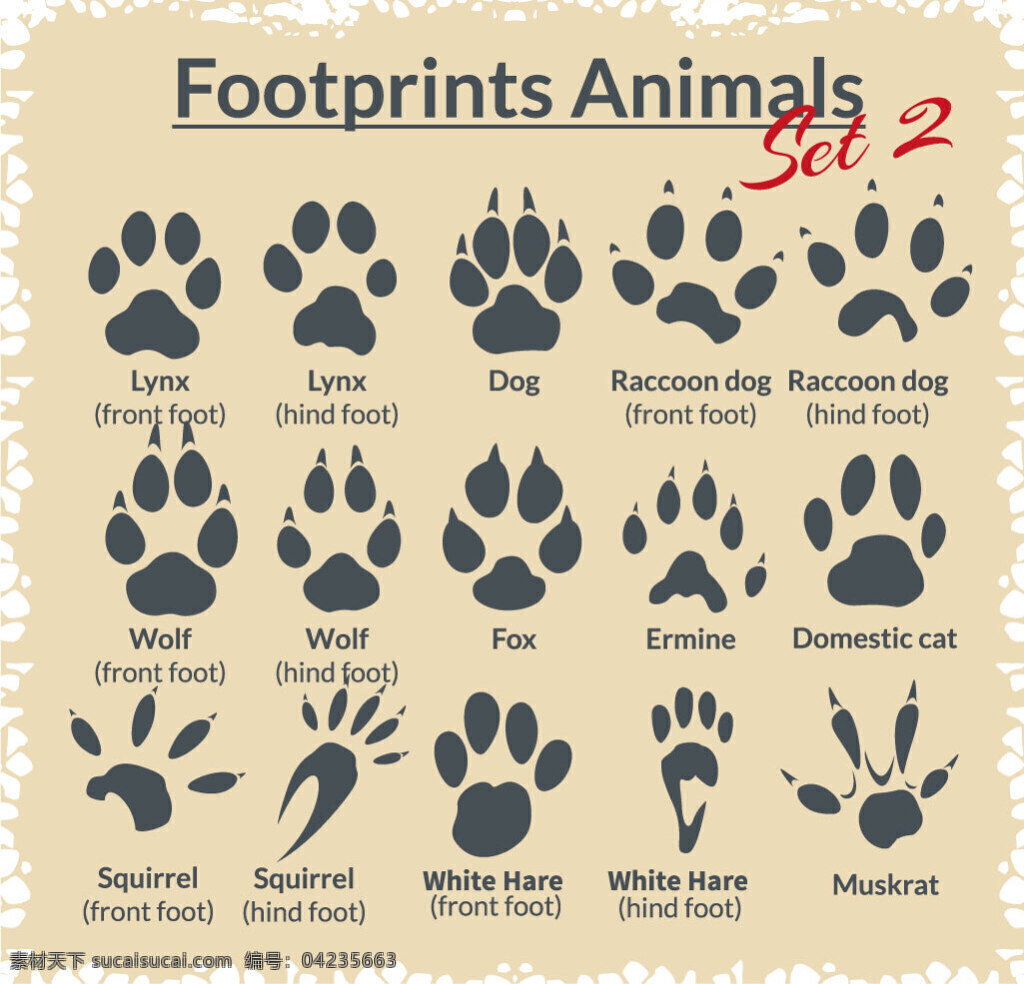 各种 动物 脚印 矢量图 动物脚印