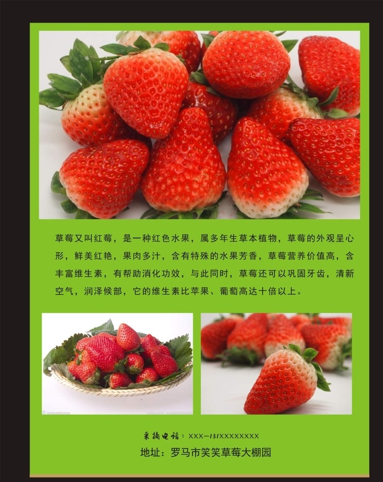 草莓 草莓节 草莓节广告 草莓海报 草莓采摘 草莓素材 水果店草莓 草莓种植 大棚草莓 草莓展架