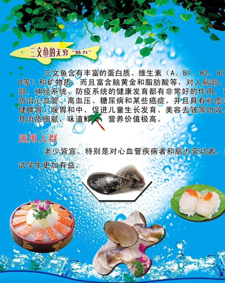 三文鱼简介 三文鱼营养 鱼 扇贝 寿司 料理 日本料理 pop海报 分层