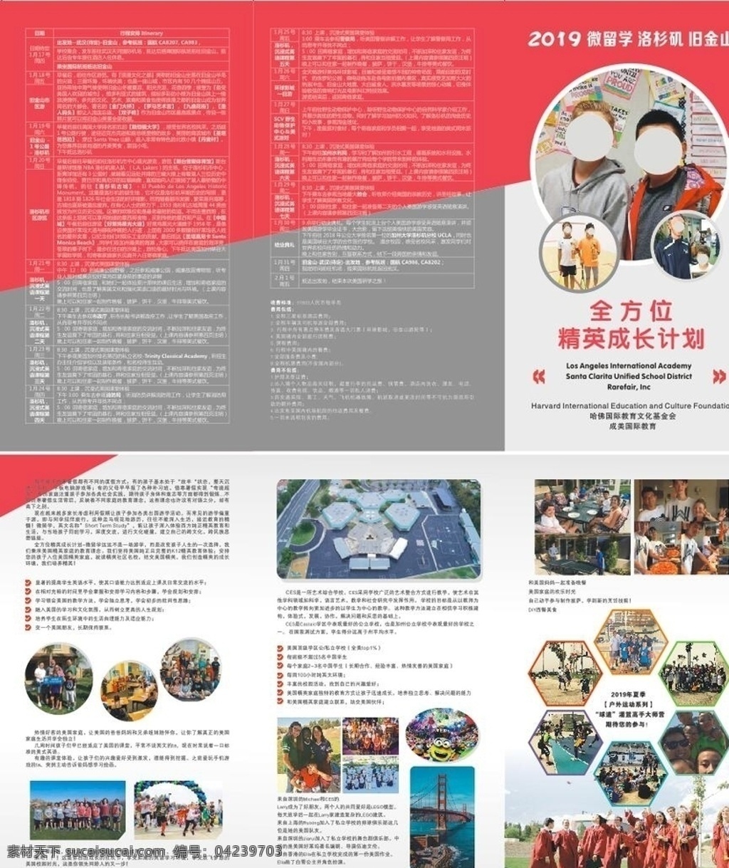 留学 招生简章 折页 精英成长计划 研学