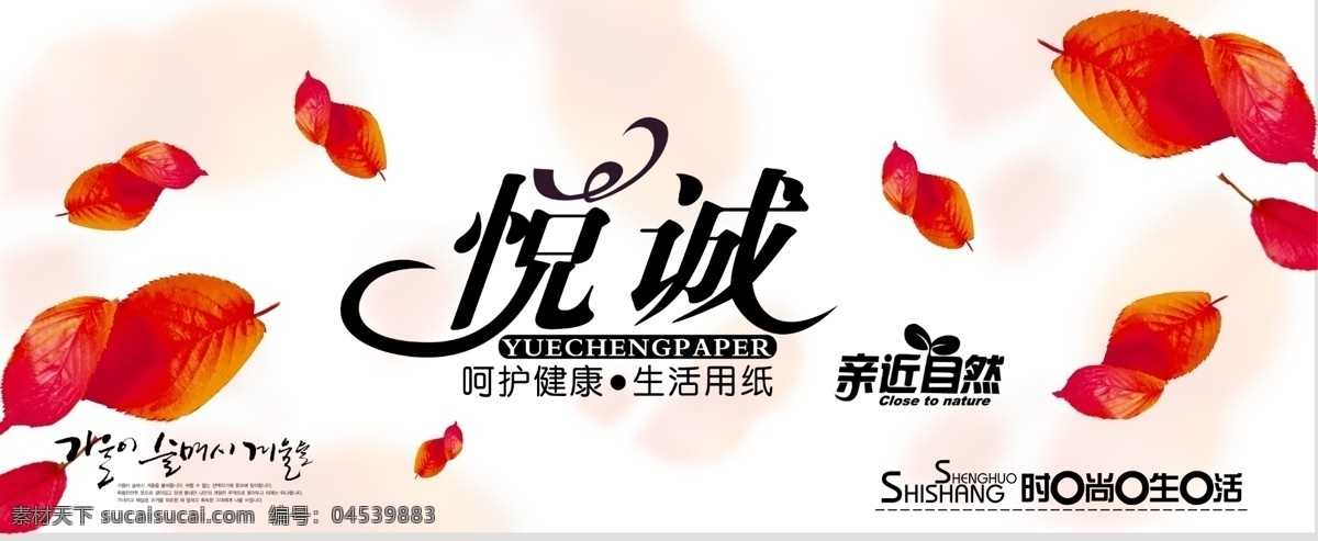 花朵 背景 纸品 商业 包装