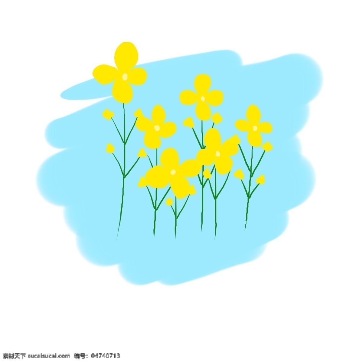 蓝色 背景 上 油菜花 一丛 黄色的 蓝色的背景 花朵 开花的 一丛油菜花 开放的 原创卡通