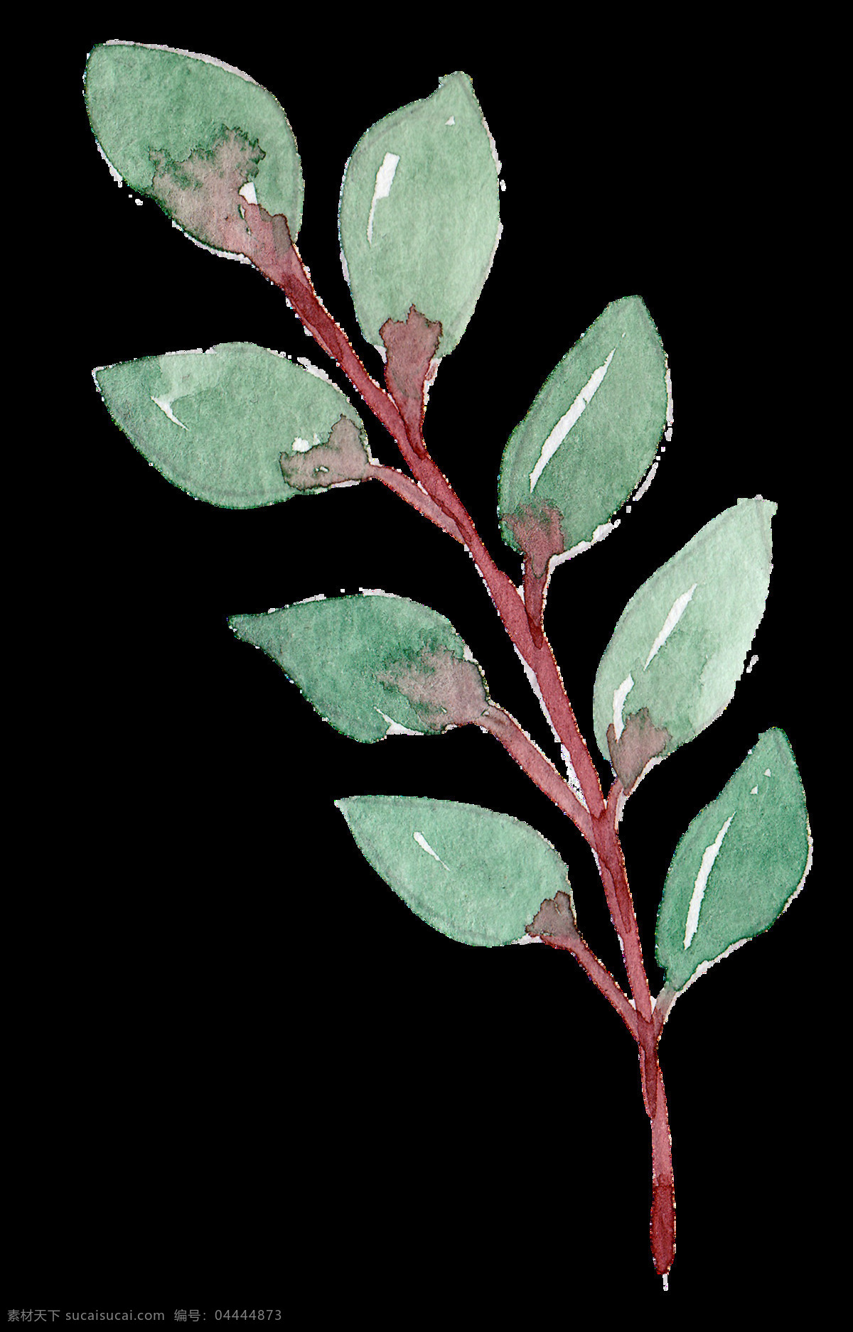 红 枝 树叶 卡通 透明 枝叶 绿色 透明素材 免扣素材 装饰图案