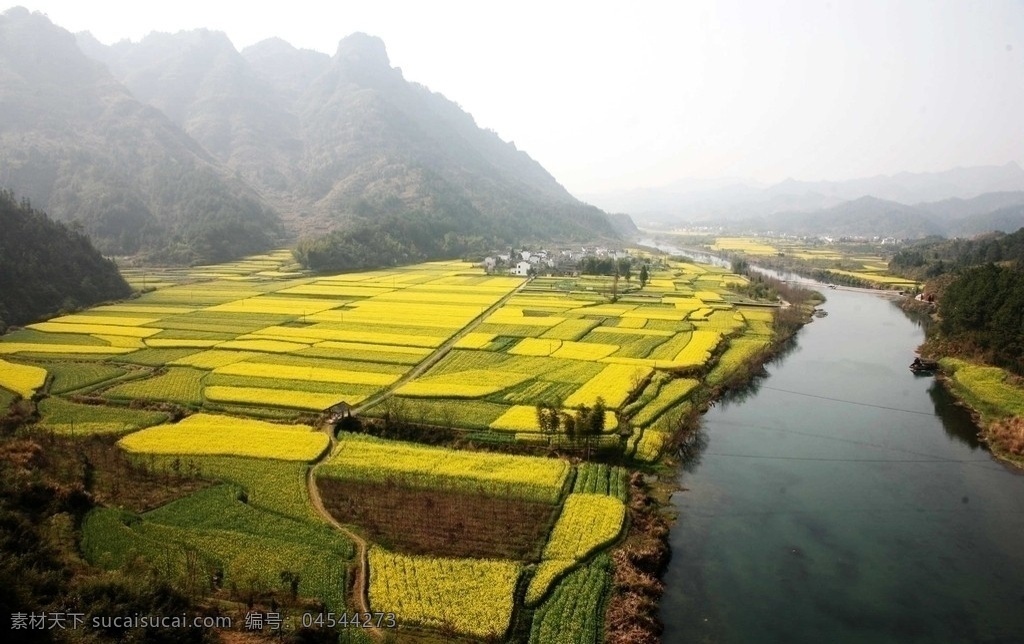 油菜花美景 油菜花 金灿灿 成熟 田园 田野 田间 菜田 河流 高山 山川 河塘 村庄 农村 乡村旅游 国内旅游 旅游摄影