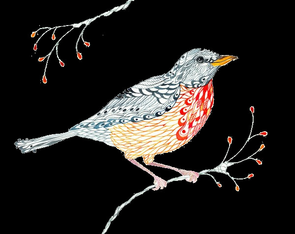清新 拼 色 小鸟 装饰 元素 动物 红色小鸟 蓝色小鸟 手绘小鸟 装饰元素