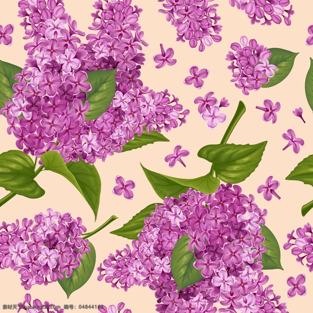 紫色 丁香花 图案 矢量