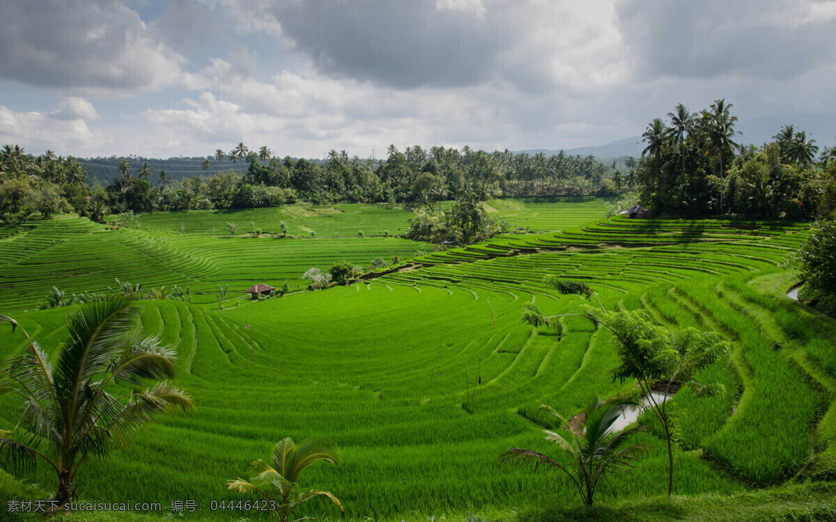 风景图片 风景 桌面壁纸 自然景观 自然风景 壁纸图片 壁纸 山水风景 山水画图片 河流 唯美图片 风景画 风景壁纸 唯美壁纸 唯美素材 背景图片 背景素材 蓝天白云 大自然 高清风景图片 拍摄 生态 绿叶 花 草 植物 植物特写 拍摄素材 蓝天