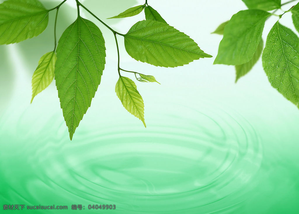 湖水 波纹 树叶 组合 背景 绿叶 背景图片