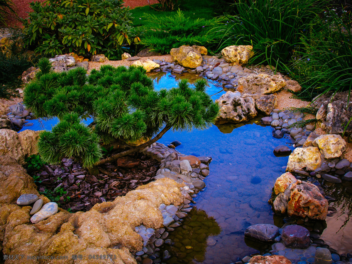 创意 石子 水池 水池设计 水潭 水 公园风景 水池风景 自然风景 松树 其他类别 生活百科