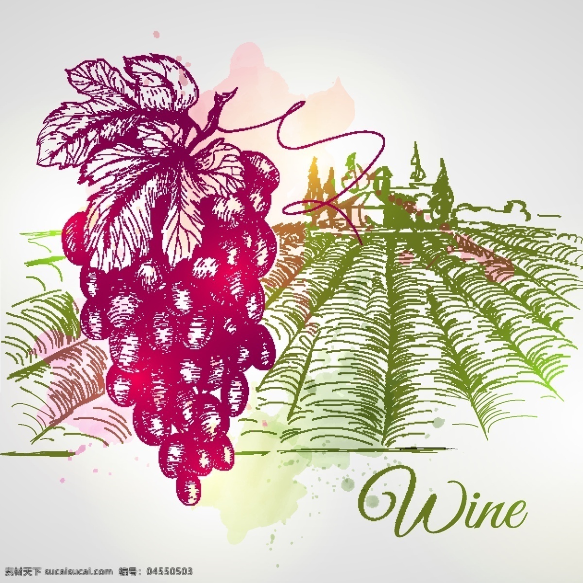 葡萄酒 庄园 手绘 葡萄 矢量图 日常生活