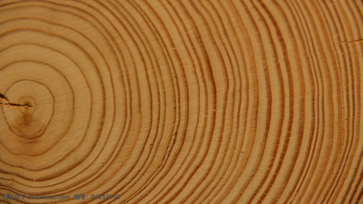 年轮图片 木材 年轮 树 纹理 肌理 照片