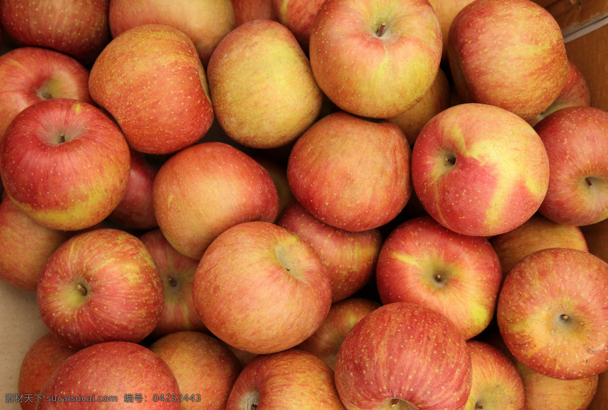 苹果 背景图片 苹果背景图片 苹果背景 新鲜苹果 新鲜水果 水果摄影 水果蔬菜 餐饮美食 橙色