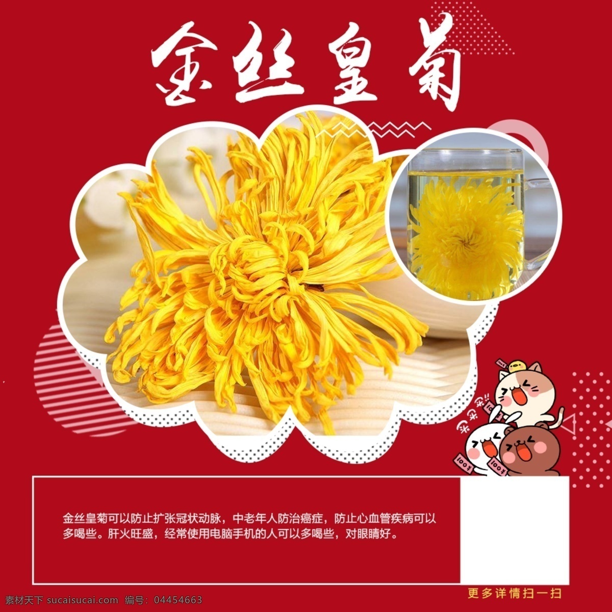 金丝黄菊 菊花 皇菊 黄菊花 金丝皇菊 花茶 生物世界 花草