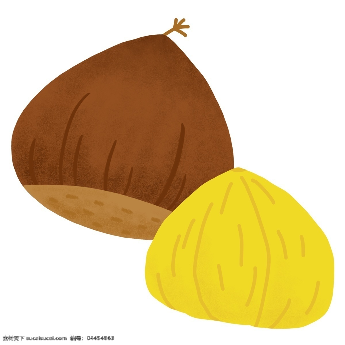 坚果 栗子 卡通 插画 栗子的坚果 卡通插画 坚果插画 零食坚果 坚果美食 办公小吃 美味的栗子
