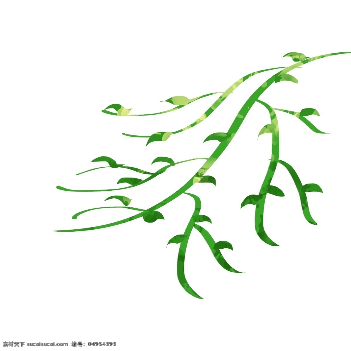 卡通 手绘 装饰 插画 风格 柳 树枝 绿色植物 图案 绿色 藤 曼 植物
