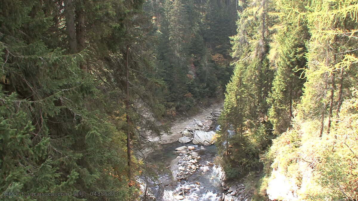 莱茵 瑞士 峡 股票 视频 视频免费下载 峡谷 陡峭的 片面的 深 窄 墙 岩石 高高的个子 绿 树木 通道 河流 avi 灰色