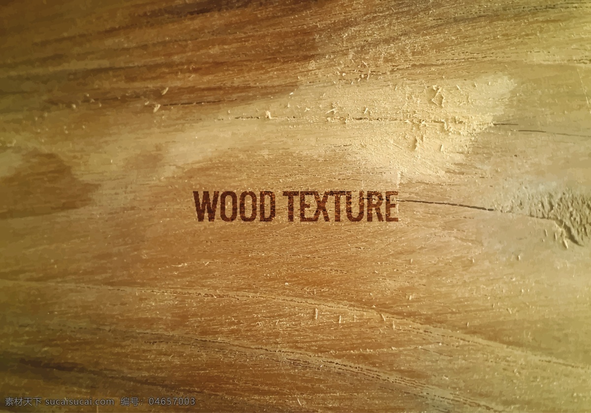 矢量 木 纹理 背景 摘要背景 质感 墙纸 彩色 老 表面组织 木材 fondos