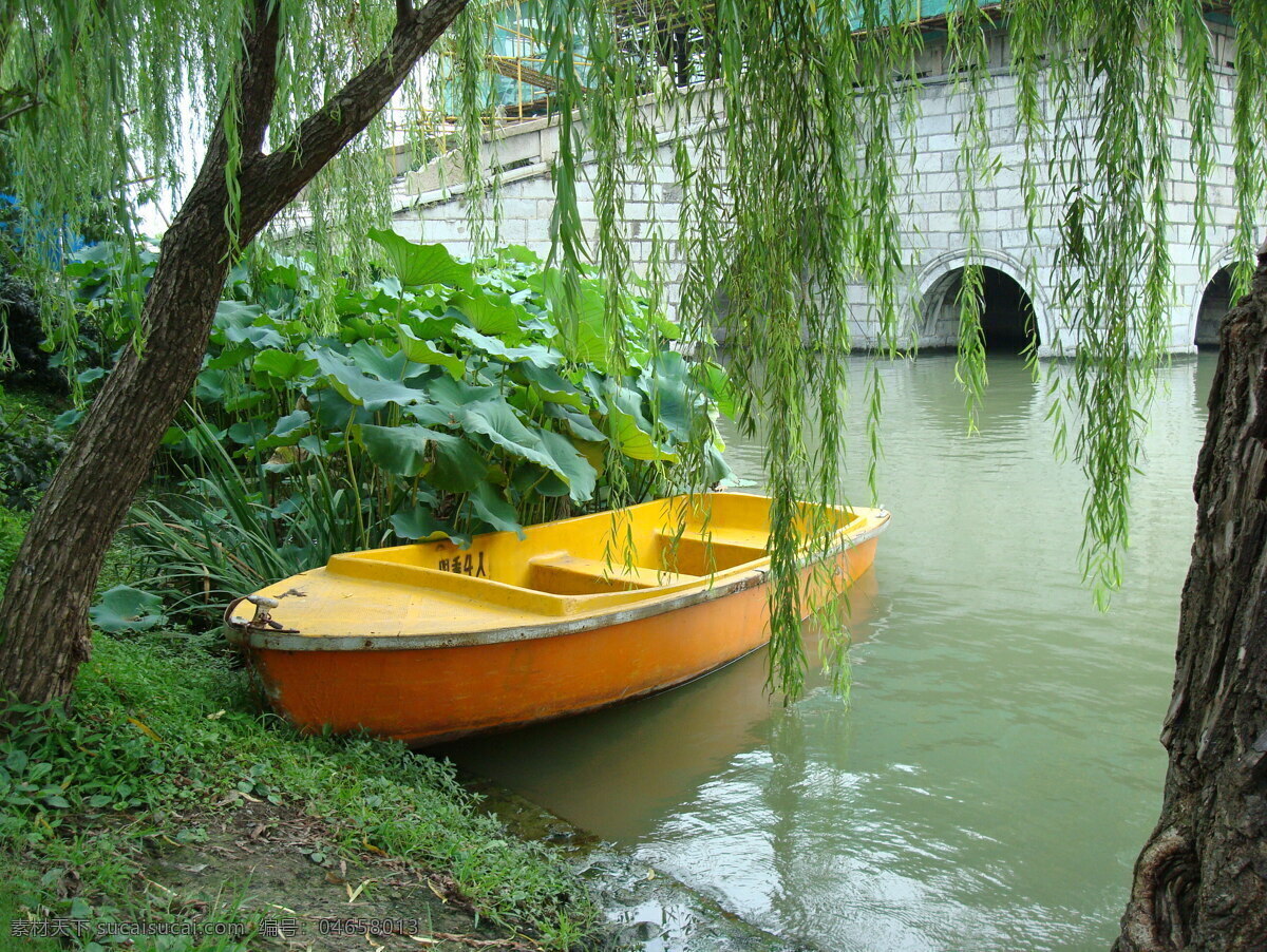 河边 停靠 黄色 小 木船 垂柳 下 风景 公园 江南园林 停靠的船 生活 旅游餐饮