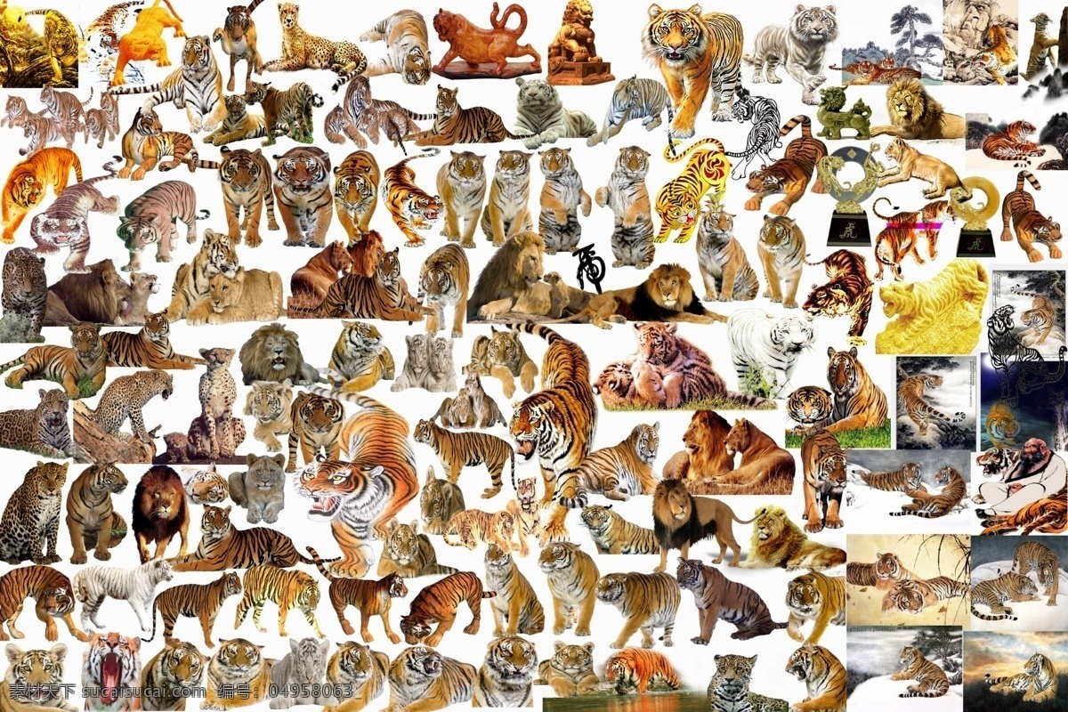 老虎 野生动物 动物 霸气老虎 东北虎 动物图片 生物世界 设计素材 分层