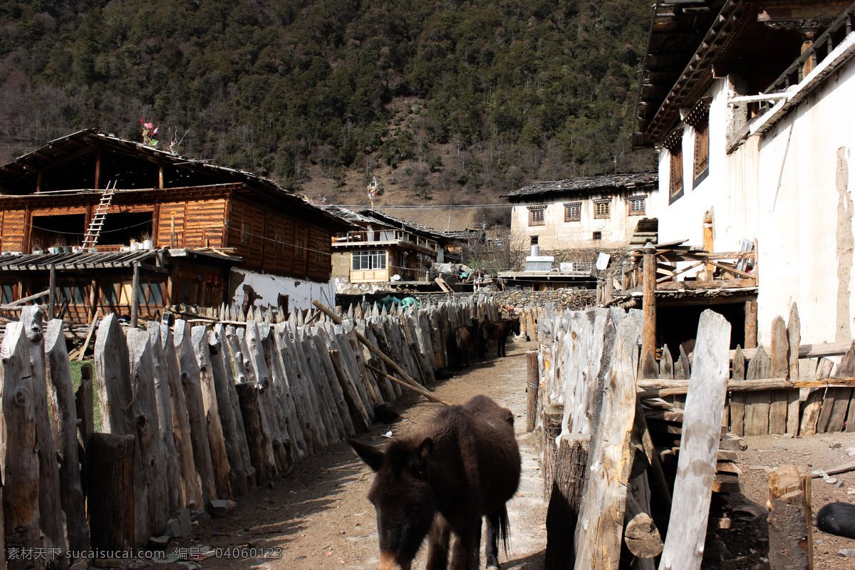 自然风景 雨崩 卡瓦格博 梅里雪山 梅里十三峰 雪山 藏文化 藏族 大本营 云南风光 毛驴 骡子 旅游摄影 国内旅游