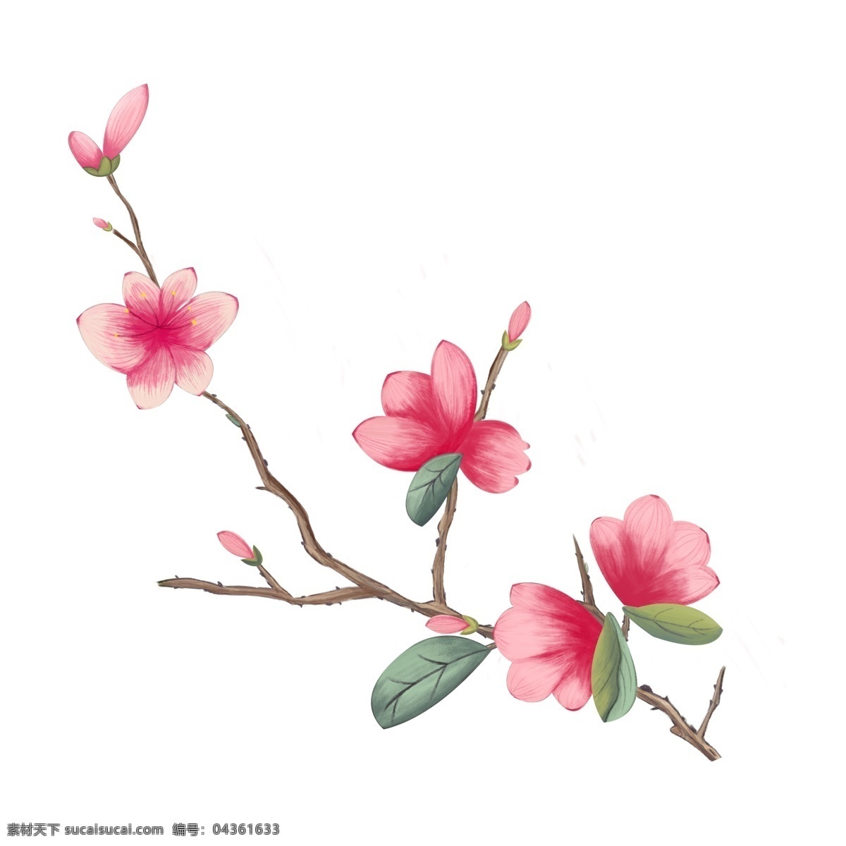 淡 粉色 花卉 手绘 透明 花朵 透明素材 卡通素材 叶子 玫瑰花卉 淡粉色
