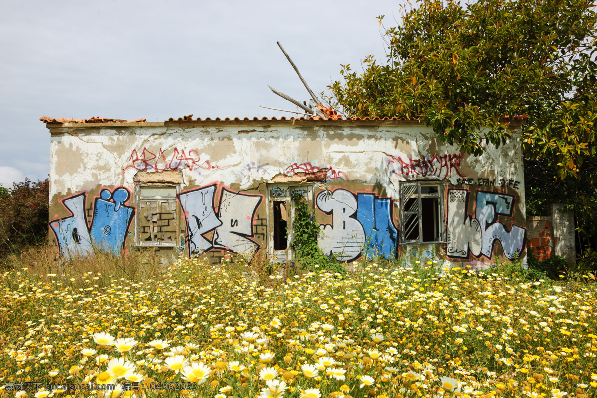 废弃 房屋 上 涂鸦 鲜花草地 美丽风景 涂鸦艺术 葡萄牙 阿尔加维 其他类别 生活百科