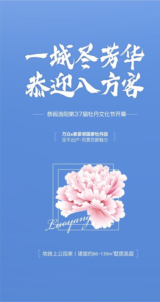 微单 海报 牡丹花 花 地产 花卉
