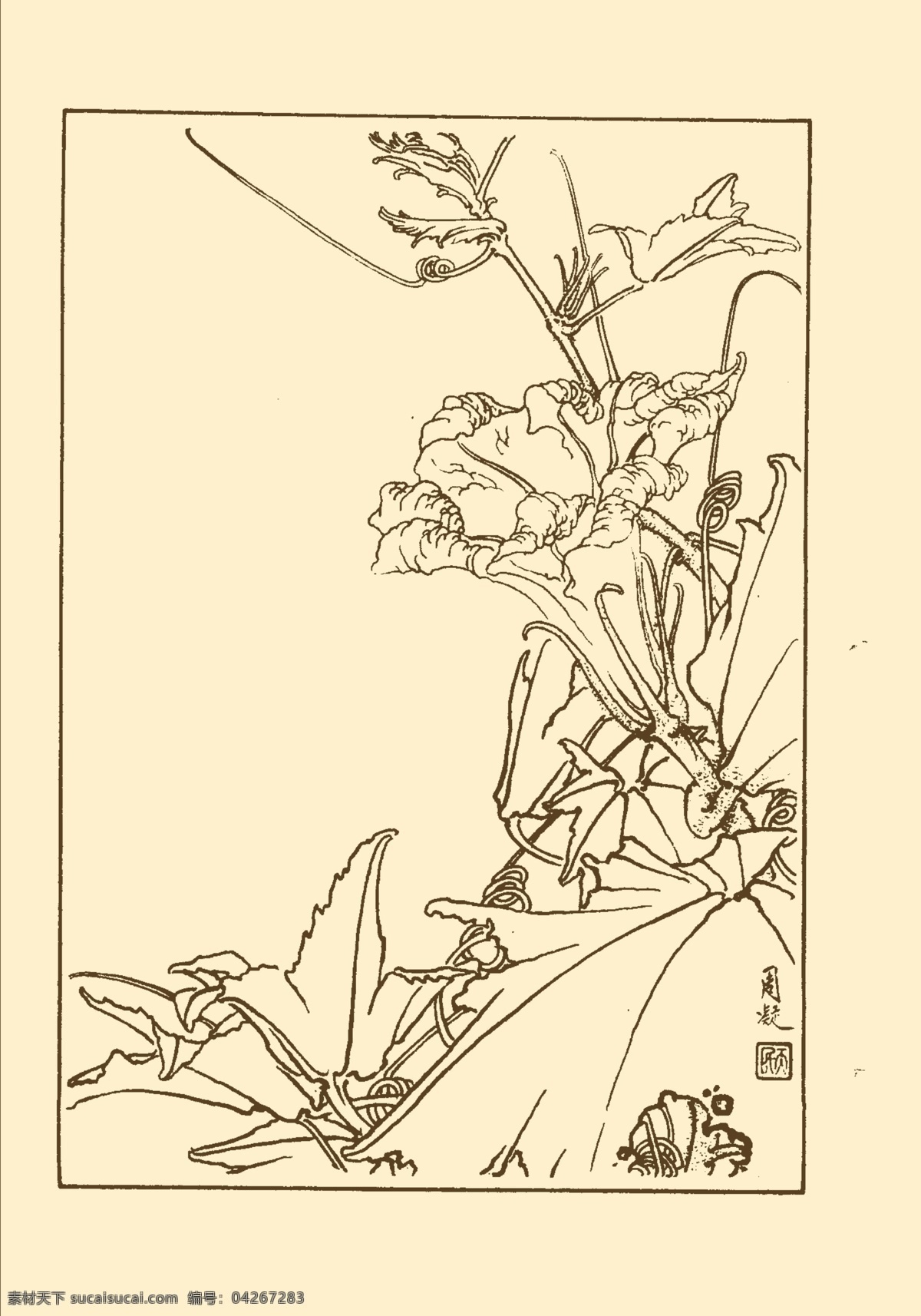 南瓜 鲜花 花卉 花草 植物 白描 中国画 国画 线画 花卉白描 分层 源文件