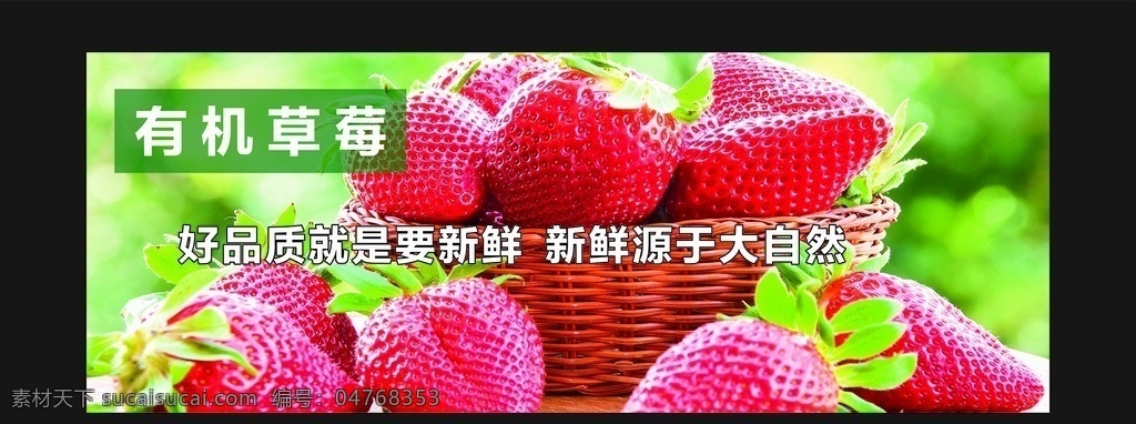 精美水果灯箱 草莓 高档灯箱 高端灯箱 灯片 水果灯片 新鲜水果 水果