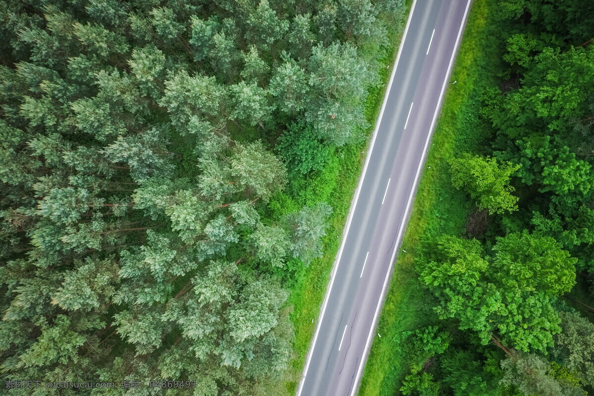 航拍 森林 公路 森林公路 绿色森林 高速公路