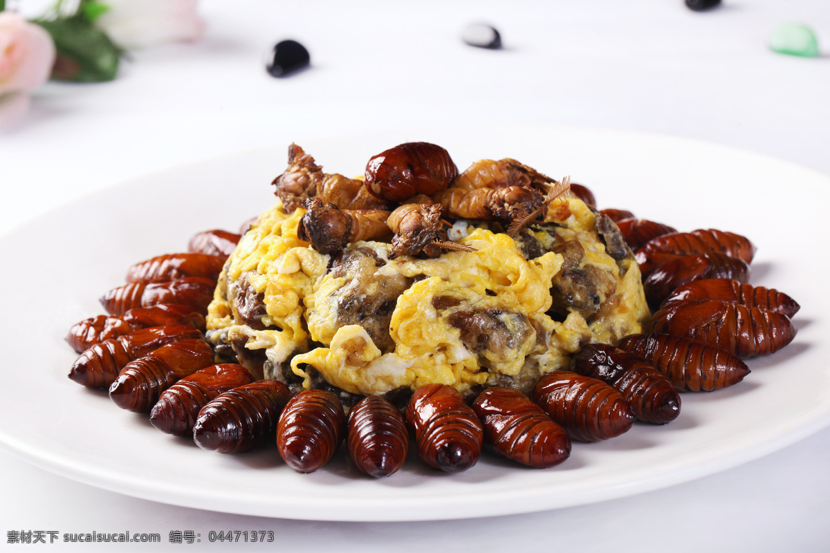 母子相会 蚕蛹 东北菜 美食 东北 传统美食 餐饮美食 高清菜谱用图