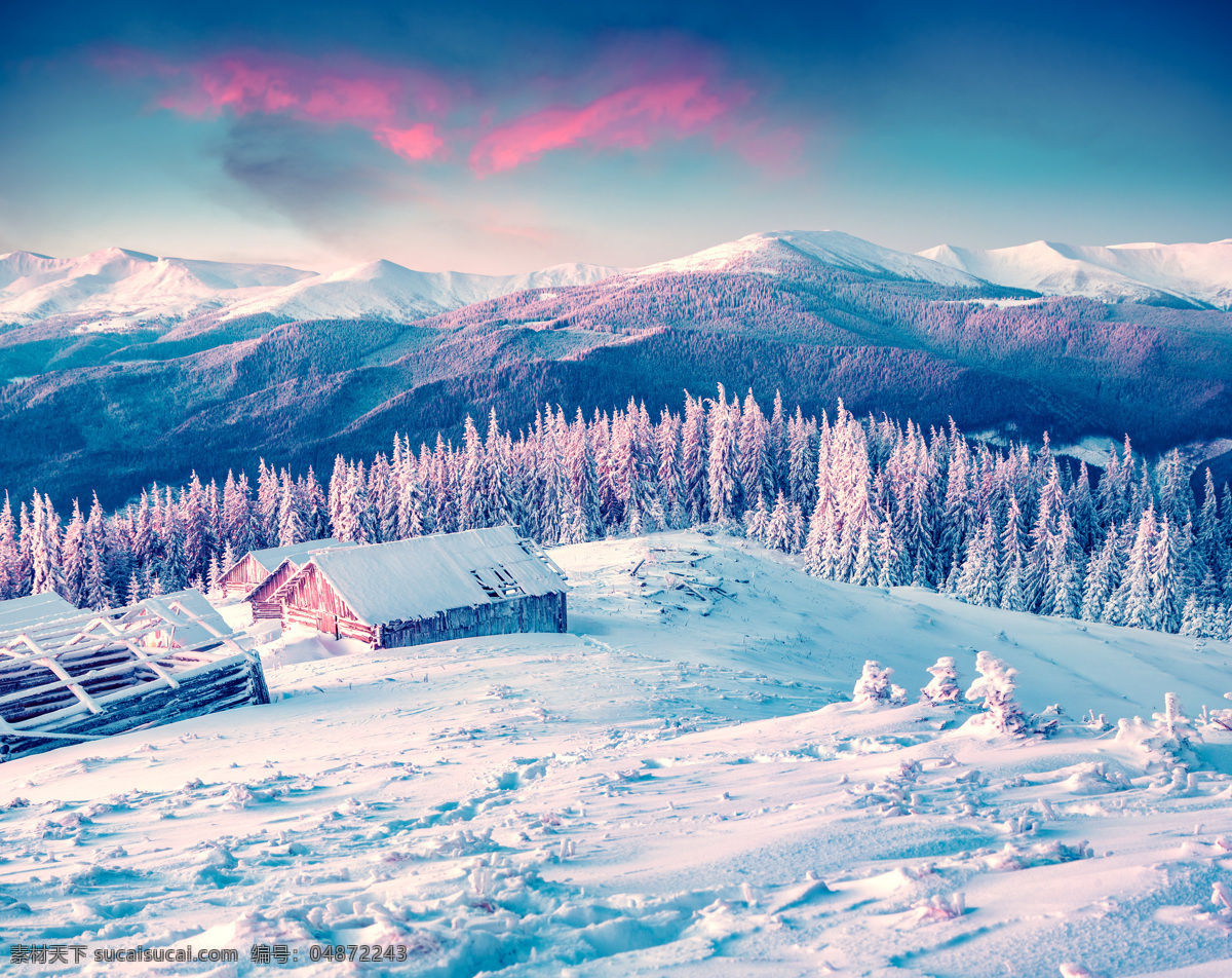 冬天雪景高清 冬天 雪地 雪景 蓝天 白云 松树 美景 风景 自然风光 自然风景 自然景观