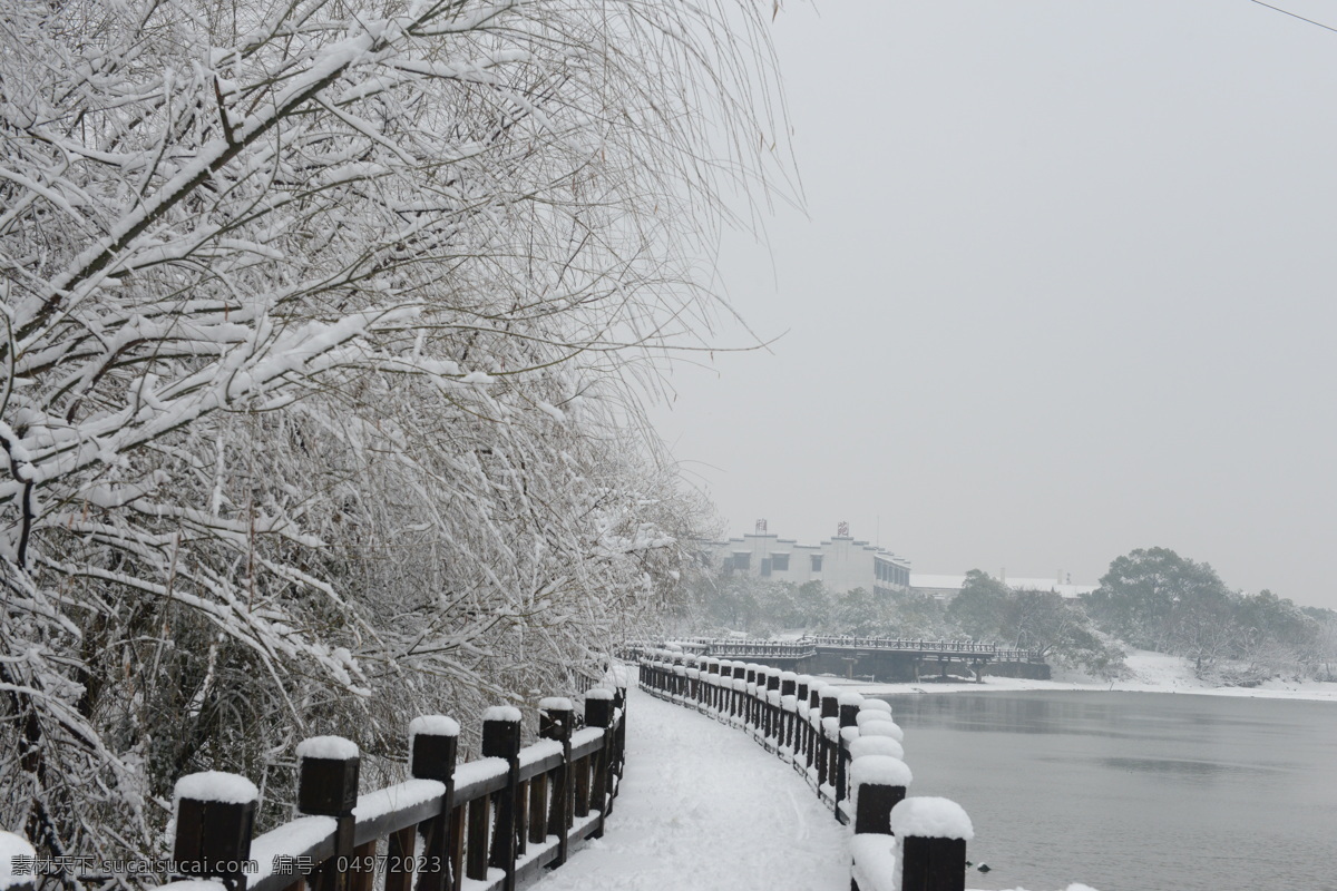 大雪纷飞 白雪皑皑 南昌大雪 公园雪景 八大山人公园 自然景观 自然风景