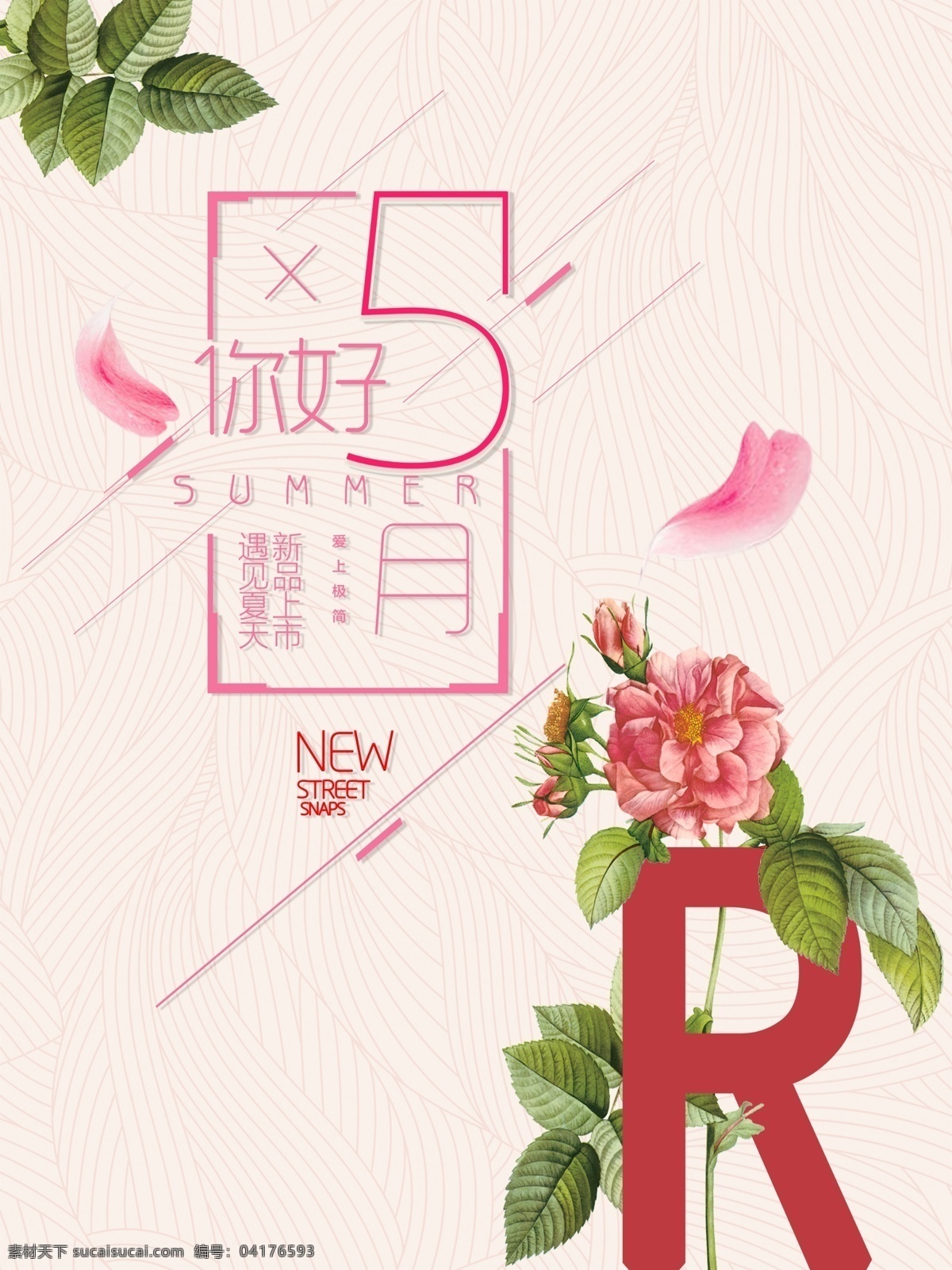 玫瑰5月海报 五月 玫瑰 r 插画 粉色