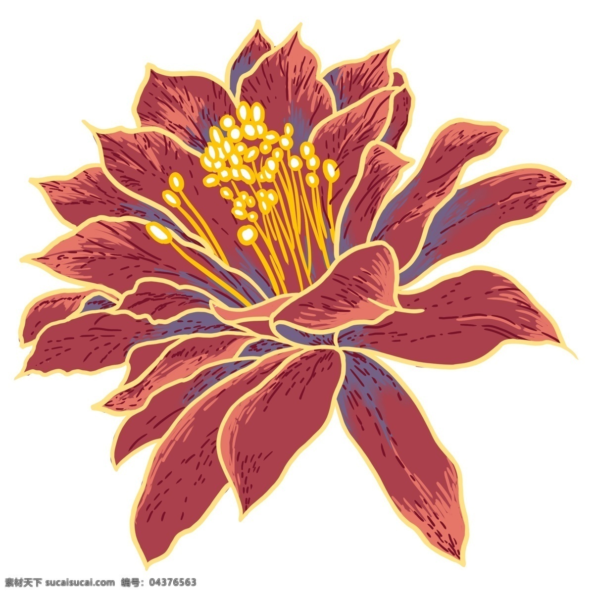 暗红色 花朵 原创 元素 中国风 工笔彩绘 金色花蕊 重瓣