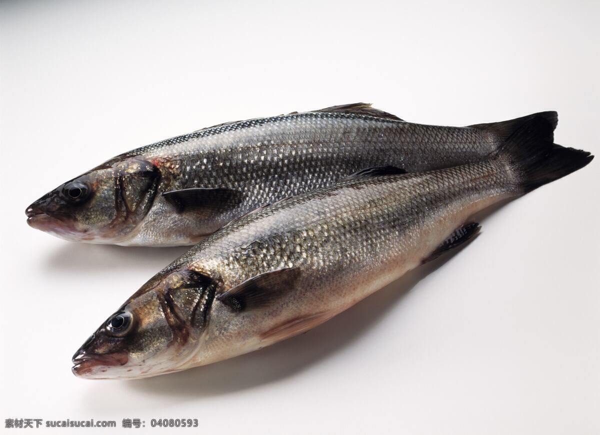 鱼类 餐饮美食 动物 食物原料 特写 写真 鱼 生物世界