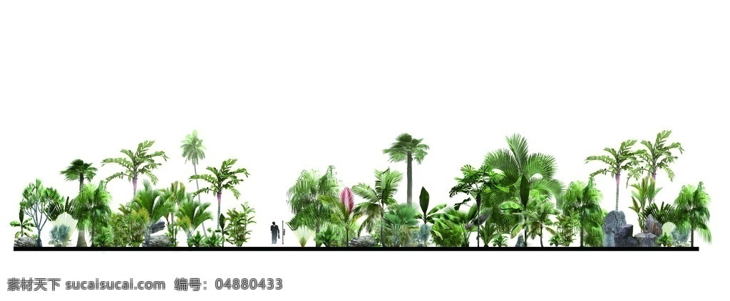 ps 版 热带 植物 竖向 分析图 热带植物 景观设计 园林 南方 环境设计
